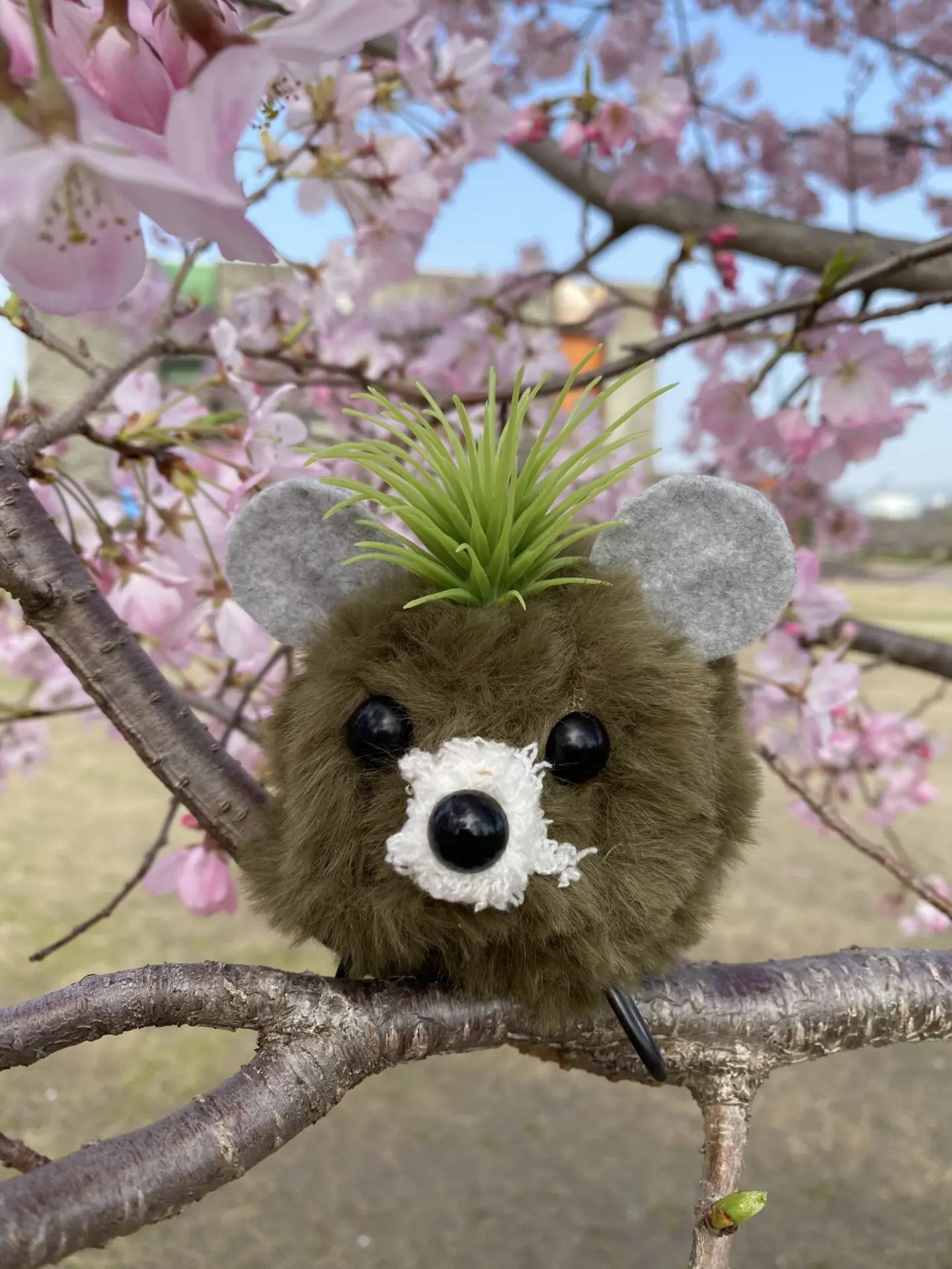 出展画像03