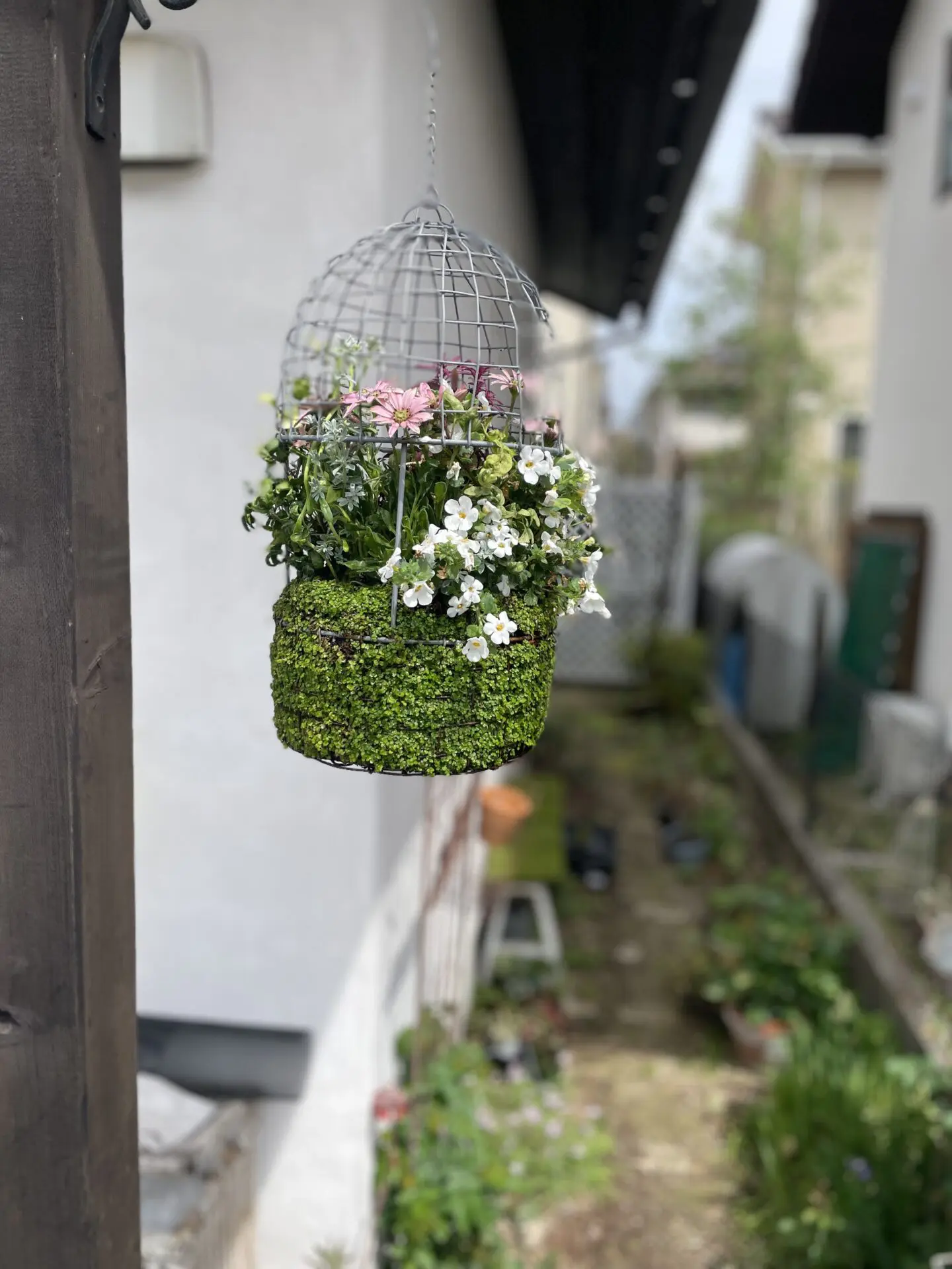 出展画像02
